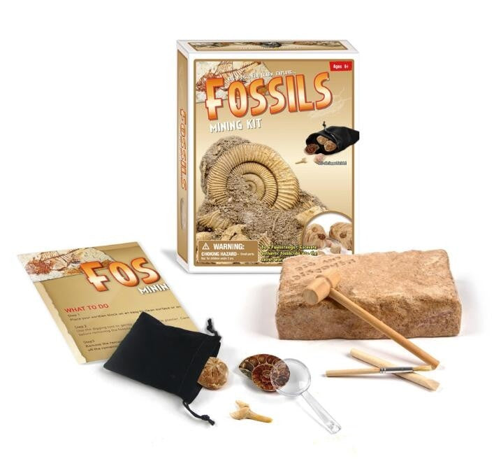 Dinosaur Bone Fossil Dig Kits