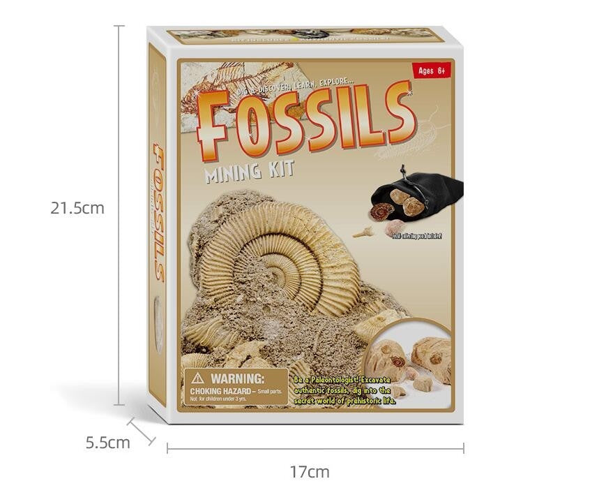 Dinosaur Bone Fossil Dig Kits