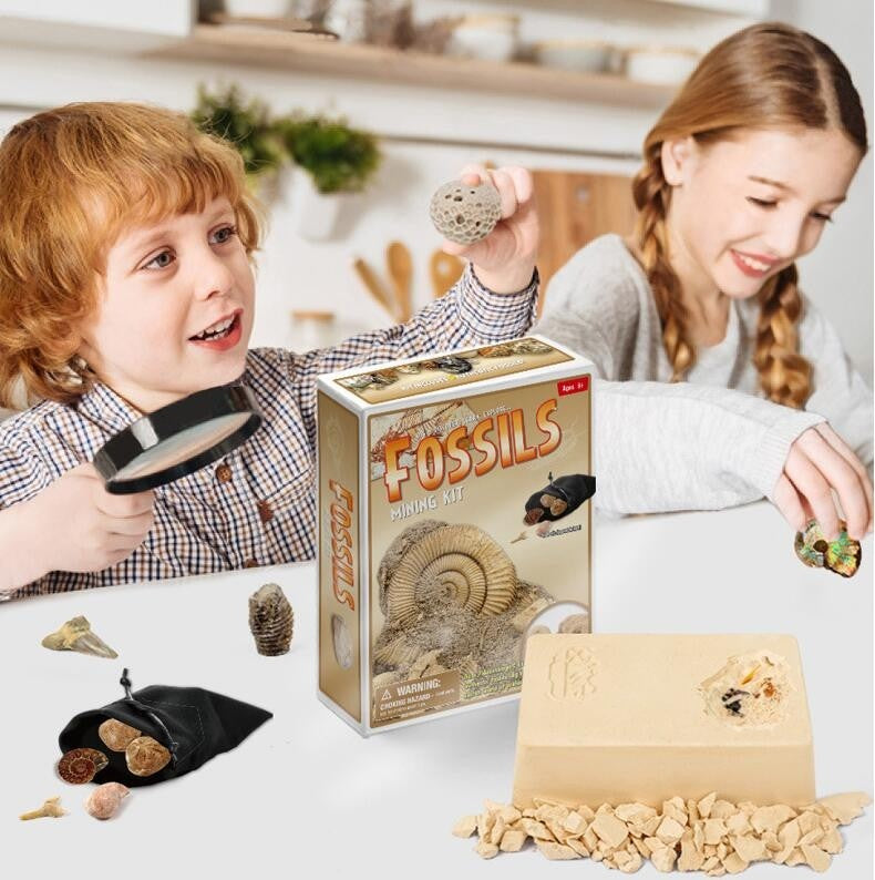 Dinosaur Bone Fossil Dig Kits