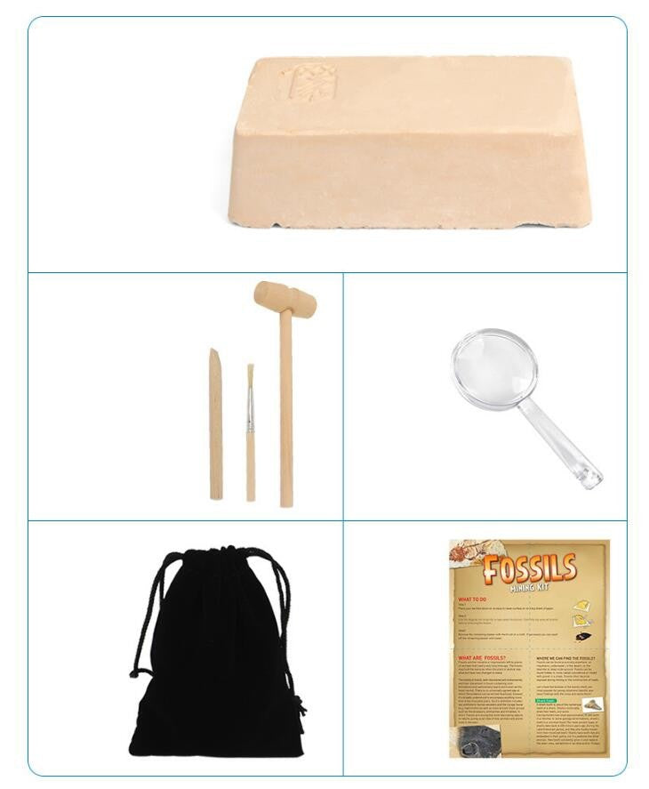 Dinosaur Bone Fossil Dig Kits