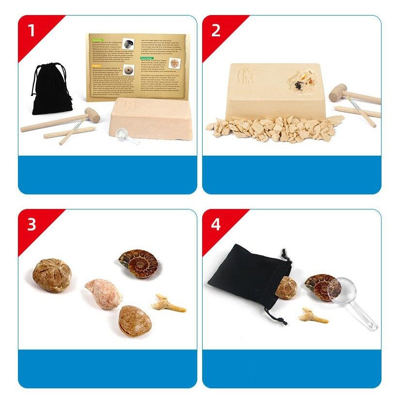 Dinosaur Bone Fossil Dig Kits