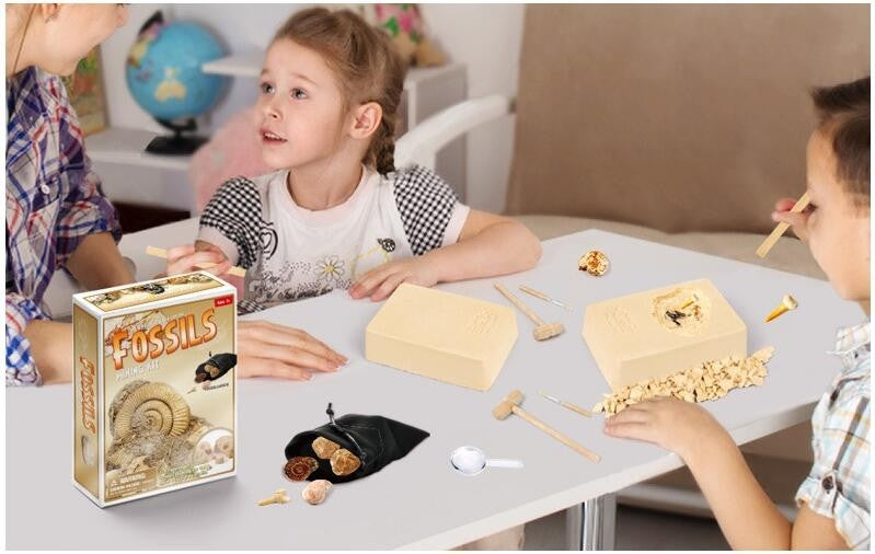 Dinosaur Bone Fossil Dig Kits