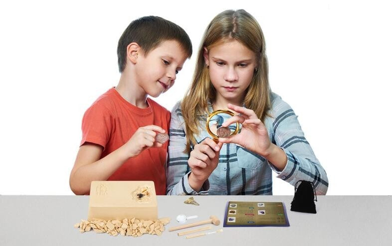 Dinosaur Bone Fossil Dig Kits